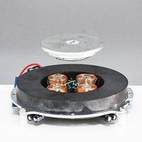 Module de lévitation magnétique de 150 g, système de suspension personnalisé DIY, technologie de lévitation DIY, affichage et décoration