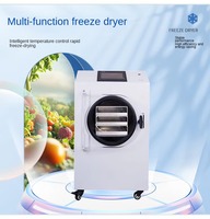Machine de lyophilisation automatique en acier inoxydable haute productivité 20 kg/lot, séchage sous vide, pour usage domestique, légumes et confiseries