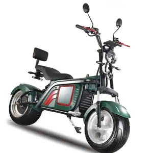 2023 Europa Lager Lager 1500W Günstige Roller Elektro Citycoco Hochwertige 150ccm Elektro roller Citycoco