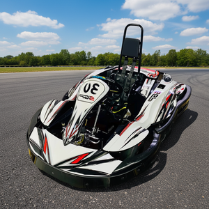 Kart électrique Segway <span class=keywords><strong>Ninebot</strong></span> à grande vitesse 6500W, vente directe usine, capacité de batterie élevée, pour adolescents, drift, extérieur, 60km/h, charge 200kg - Product Image 4