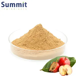 100% Pure Quality Natural Hawthorn Berry Fruit Herbal Extract Powder From Wholesale Supplier