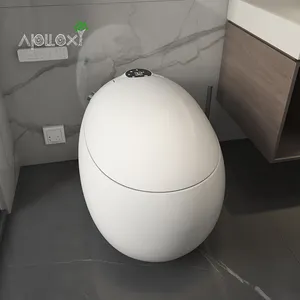 Apolloxy decoro Pre-trattamento filtro Cto per protezione automatico ceramica Smart Toliet