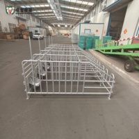Bâtiments d'engraissement pour truies, fabrication directe usine, équipement d'élevage porcin en acier galvanisé, vente en gros, fournitures agricoles personnalisées