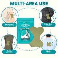 Patchs de Soin Corporel pour les Bras aux Herbes Naturelles Détoxifiantes, Perte de Poids, Hypoallergéniques, Certifiés CE, 12 Pièces/Sac, 37g, Emballage Personnalisé en Gros