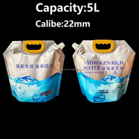 Haute capacité 3 5 litres gallon huile bière jus boisson liquide stockage debout bec pochette pliable Portable eau sac en plastique