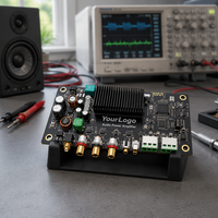 OEM ODM Modul Penguat Audio Kustom PCBA 2x5W Kelas D Stereo untuk Perangkat Pintar