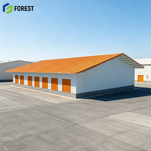 Almacén Logístico de Estructura de Acero Prefabricada de Ingeniería Personalizada, Depósito Comercial de Gran Resistencia con Marco de Portal - Product Image 1