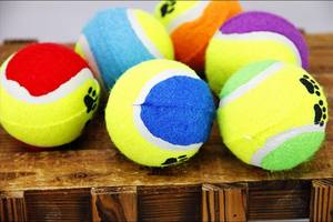 Giocattolo masticabile del cane giocattolo indistruttibile della palla di Tennis della peluche del giocattolo indistruttibile del cane - Product Image 6