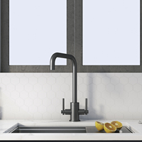 Robinet de cuisine en acier inoxydable 304 à surface polie, eau chaude et froide, robinet d'évier à deux poignées