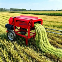 Machine d'extraction de fibres de feuilles d'ananas, transformation des déchets agricoles en fibres textiles précieuses