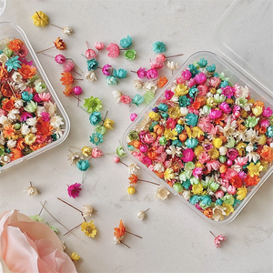 Flor Pequeña de Estrella Natural Seca para Manualidades, <span class=keywords><strong>Uñas</strong></span> de Resina, Pendientes de Joyería, Moldes Epoxi, Fabricación de Velas de Jabón - Product Image 4