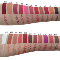 Kit Lipstik Matte Cair 22 Warna, Kit Pensil Lipliner Lipstik Tahan Air Vegan Tahan Lama Keluaran Baru