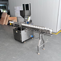 Sanhe – Machine automatique de remplissage de crème bouffante, Croissant, Donut, confiture, pain, crème, Machine d'injection