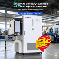 MateSolar 261 kWh BESS Armoire de batterie LifePO4 à refroidissement liquide 125 kW Onduleur hybride UN38.3 pour l'arbitrage crête-croix de pointe pour usine