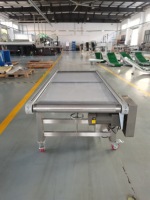 Convoyeur d'inspection optique sur mesure, type bande plate, à rail latéral droit, pour zone de contrôle des petites pièces