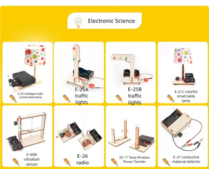 Kit DIY de Alto-falante de Gato de Madeira Tscinbuny, Eletrônicos Educacionais Alimentados por USB para Crianças, Projetos Personalizados e de Montagem para Aprendizado STEM - Product Image 5