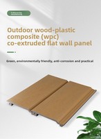 Panneaux muraux extérieurs en bois de teck résistant à l'humidité et au soleil, panneaux de bardage à grain de bois, panneaux muraux en bois composite