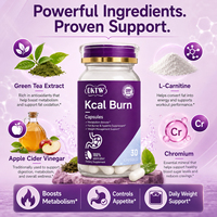 Stock disponible : Capsules OKTW Kcal Burn pour le contrôle de la faim, le soutien du métabolisme et la gestion du poids – Aide à la minceur