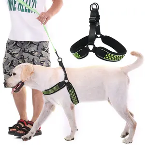 Hunde leine Doppel-D-Ring Reflektieren der Brustgurt Hunde halsband Outdoor Niedliches Sicherheits geschirr Atmungsaktives Hunde trainings geschirr