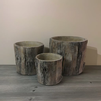 Pot de fleur fait à la main en forme d'arbre de style classique Kit de jardinière succulente en ciment pour jardin extérieur créatif Nouveau Design Carton