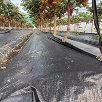 Nouveau tissu anti-mauvaises herbes résistant aux intempéries, durable, sur mesure, écologique, en PP noir robuste pour l'aménagement paysager