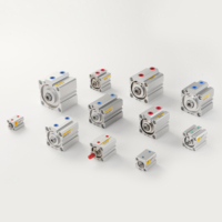 Cylindre pneumatique à Double Action haute température de remplacement Airtac Festo série Sc Dnc avec joint EU
