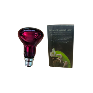 הסמכה איכות אמין 60w b22 220-240w זוחל אדום אור נורה אור חום דו-חיים, חסרי חוליות - Product Image 6