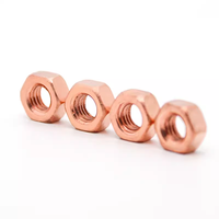 M3 M4 M5 M6 M8 M10 M12 T2 Écrou hexagonal hexagonal en cuivre rouge massif Écrous conducteurs en bronze de silicone pour armoires de communication