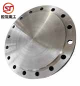 Tapa de Conexión con Brida Forjada de Acero Inoxidable 304 Guten Brew, 1.5''-8'', Superficie Pulida, Baja Presión, Roscas NPT/BSPT, para Cerveza