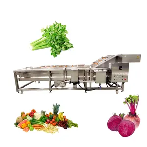 ماكينة تجارية لغسل الفقاقيع الأوزونية والسبانخ والخضراوات بالرذاذ المائي المستمر، ماكينة غسل الخضراوات والفاكهة الصناعية