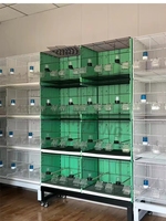 Kit de Connecteurs Modulaires Extensibles et Empilables pour Cages à Oiseaux – Volière en Fil Métallique pour l'Élevage de Pigeons, Canaris, Parakeets, Pinsons et Autres Petits Oiseaux