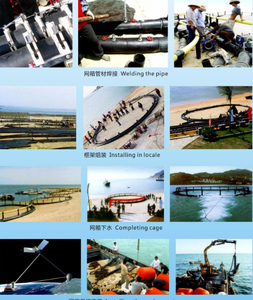 Cadre de tuyau en HDPE Cage à <span class=keywords><strong>poisson</strong></span> flottante circulaire Piège d'élevage d'aquaculture en haute <span class=keywords><strong>mer</strong></span> à vendre - Product Image 6