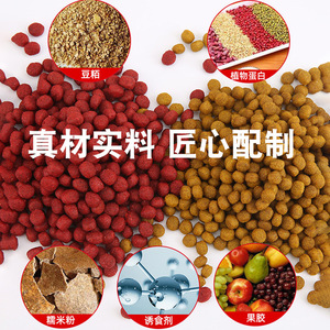 Granulés d'appât frais pour carpe, prêts à l'emploi, pour la pêche en eau douce, fabriqués en Chine - Product Image 2