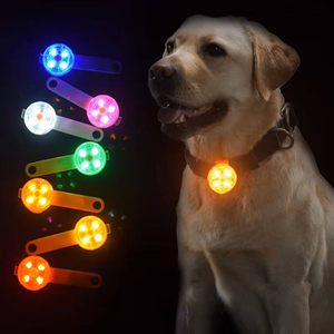 Collar, Correa y Arnés Luminosos para Perro, Luces Elegantes para Perro, Etiqueta de Perro con la Frase 'Im the Boss', Llavero Rojo para Paseos Nocturnos - Product Image 1