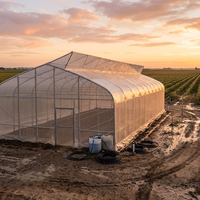 Serre tunnel papillon haut de gamme pour l'agriculture commerciale et la culture de légumes