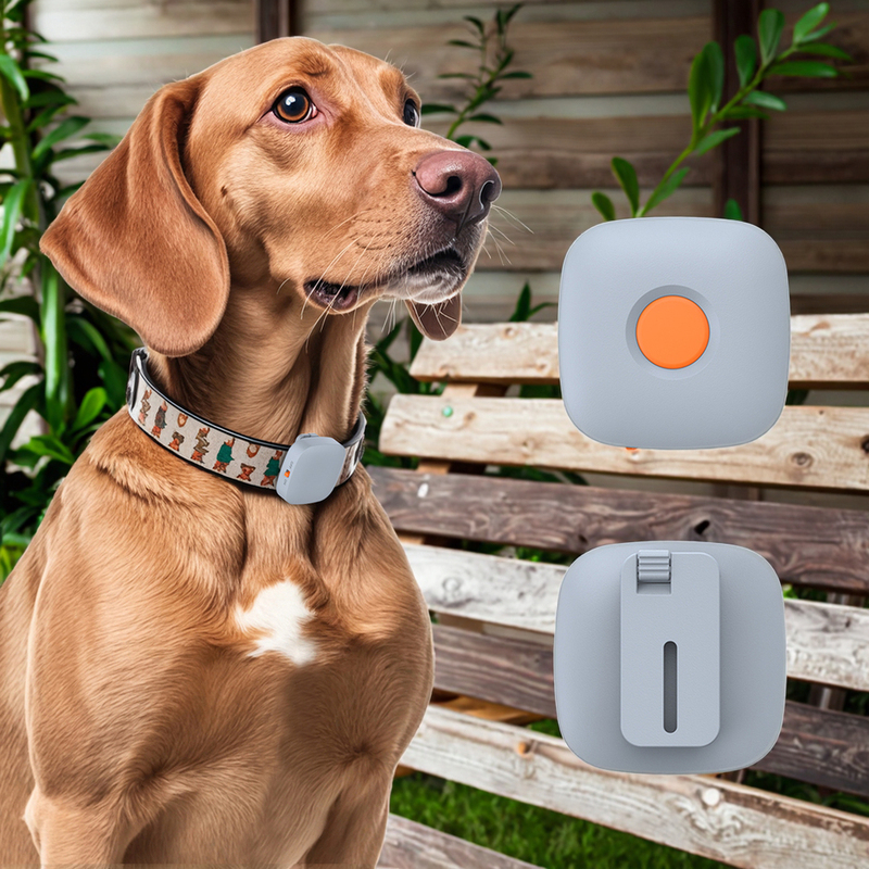 Small Rechargeable Remote Control Dog Training