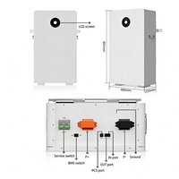 Batterie de stockage d'énergie solaire Deye ESS RW-F16 51.2V Lifepo4 Lithium à cycle profond, prix compétitif