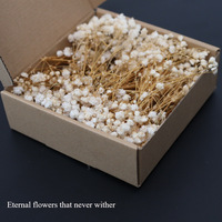 Matériaux DIY pour fleurs fraîches, gypsophile, artisanat fait main pour Noël et mariage, cadeaux et décorations DIY