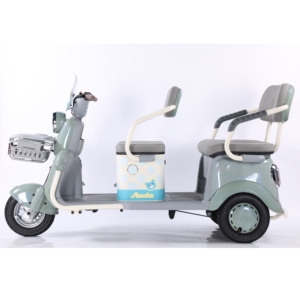 Triciclo Eléctrico con Motor sin Escobillas Abierto para 3 Pasajeros, Moto de Cross de 3 Ruedas para Adultos - Product Image 1