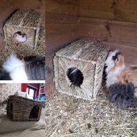 Lit de foin tissé à la main naturel pliable pour lapin, hamster, cochon d'Inde, chinchilla, petits animaux