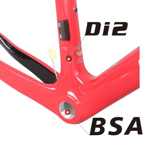 Carbon Fiber Flat Mount Threaded Disc Gravel Bike <b>Frame</b> GR029 Brushed Silver Logo 49/52/54/56/58cm - Product Image 3