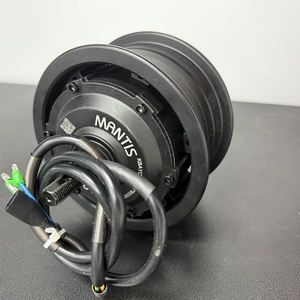 <span class=keywords><strong>Kaabo</strong></span> <span class=keywords><strong>Mantis</strong></span> <span class=keywords><strong>8</strong></span> Motor trasero/delantero 48V 800W Motor dividido 800W Motor sin escobillas Traje para <span class=keywords><strong>Kaabo</strong></span> <span class=keywords><strong>Mantis</strong></span> <span class=keywords><strong>8</strong></span> Scooter eléctrico - Product Image 3