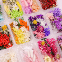 Kit DIY de fleurs séchées et préservées de gypsophile colorées pour cadeaux d'anniversaire, de festivals et de formation en artisanat DIY