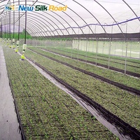 Grande serre agricole multi-chapelles à structure en acier et film PE, ventilation latérale, pour culture de légumes, tailles personnalisables