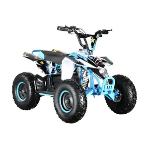 Mini Atv Quads Fabrikanten Vierwieler 500W Kinderen Elektrische Atv