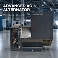 Alternateur sans balais de type Stanford 100 kVA 80 kW 400 V 50 Hz avec AVR, prix direct usine