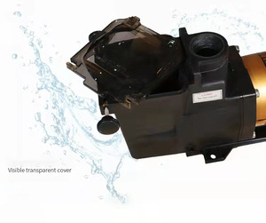 HUAXI 2HP <strong>Variable</strong> Speed <strong>Pool</strong> Water <strong>Pump</strong>, Durable Centrifugal <strong>Pump</strong> for Commercial <strong>Pools</strong> ISO 9001 Approved - Product Image 6