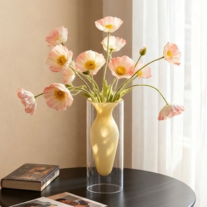 Macetero de Vidrio de Borosilicato de Doble Capa, Decorativo, para Plantas, Hidroponí<span class=keywords><strong>a</strong></span>, Decoración del Hogar, para <span class=keywords><strong>Mesa</strong></span> - Product Image 6