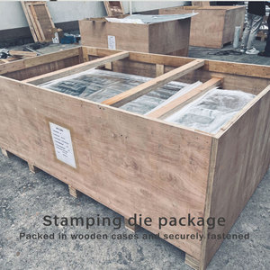 Newsky thâm quyến tùy chỉnh độ chính xác cao nhôm Tiến Bộ Báo Chí stamping <span class=keywords><strong>Die</strong></span> chi phí-hiệu quả cho ngành công nghiệp Xây Dựng Nhà - Product Image 6