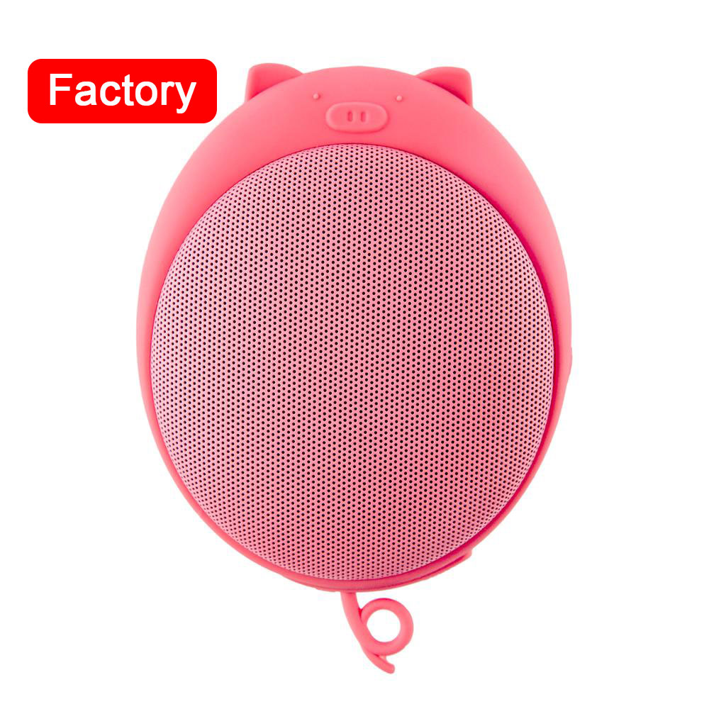 Photograph Waterproof Outdoor Speaker 